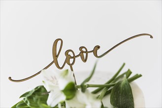 Love text with beautiful flowers against white background