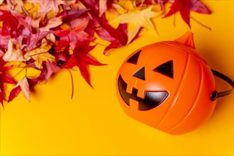 Photo of a Halloween pumpkin on red autumn leaves and a yellow background