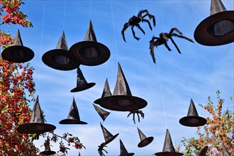 Halloween decoration witch hats and spiders hanging in sky