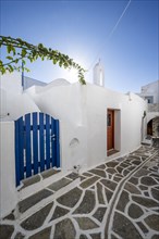 White Cycladic houses with blue doors