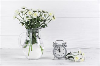 Chrysanthemum white flowers glass jar near small alarm clock wooden desk