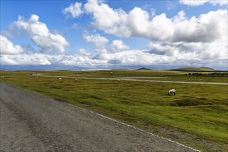 Road leads across high moor