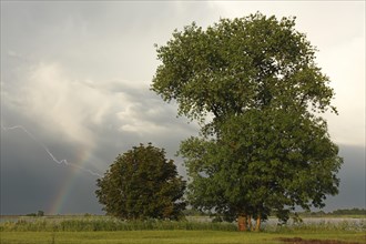 Rainbow with thunderstorm lightning on the Lower Weser Island Strohauser Plate