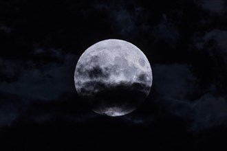 The full moon fights its way through the cloudy sky in the evening in the Rhine-Main area. It is already the second one in August '23 - that doesn't happen often. The so-called Blue Moon or Blue Super...