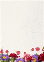 Floral copy space background with roses daisies