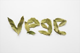 Vege lettering made bay laurel leaves