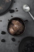 Flat lay bowl with chocolate flavored ice cream