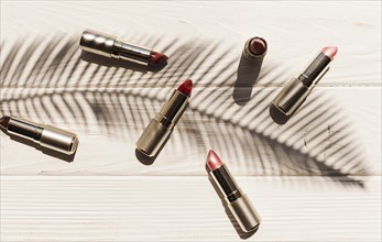 Top view lipsticks with palm branch shadow