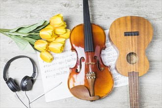 Guitar violin tulips headphone pencil musical note table