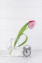 Gray alarm clock near transparent glass jug with pink tulip against white wooden desk