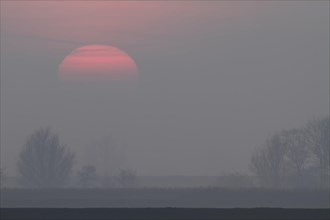 Foggy atmosphere with sunset on the Weser island of Strohauser Plate