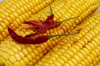 Close up red hot chilli peppers with corn