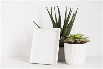 Office plants with frame