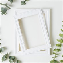 Stacked white border frames with green leaves twig white backdrop