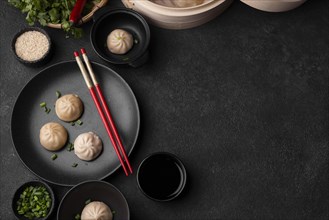 Top view asian dumplings with chopsticks copy space
