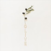 Olive word with olive branch