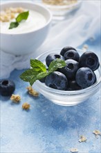 Small blueberries transparent bowl