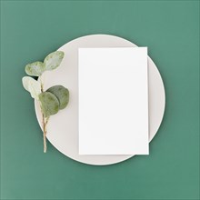 Top view blank menu paper plate with plant