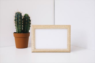 Frame corner cactus