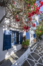 White Cycladic houses with blue shutters and bougainvillea
