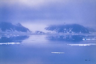Seascape view with fog at the coastline of Svalbard