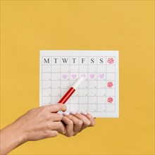 Front view menstruation calendar with hearts flowers
