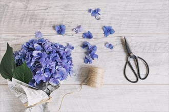Bouquet purple hydrangea flowers tied with spool scissor wooden table