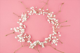 Circular shape made from baby s breath against peach background