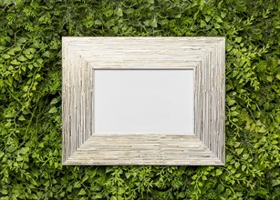 Wooden picture frame green foliage