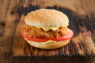 Street chicken burger with fresh tomato and cheesy sauce