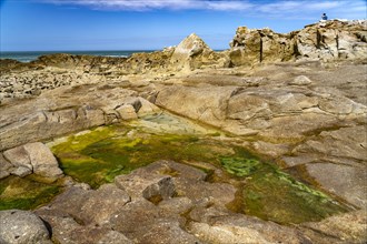 Natural pool among the rocks of the pink granite coast Cote de Granit Rose on the island Ile Grande