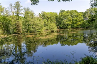 Still water in loam pond fishing lake