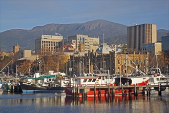Fishing boats docked in the Hobart harbour