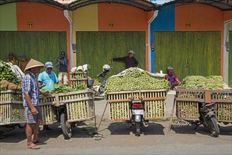 Javanese vendors with motorbikes heavily laden with vegetables selling greens at food market in the village Tumpang