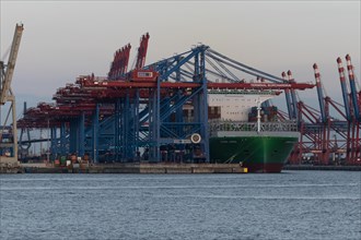 The container ship Ever Aria of the Evergreen shipping company being handled at the container gantry cranes of the Burchardkai terminal at dusk in the Port of Hamburg