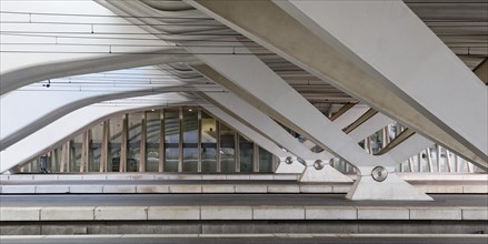 Liege-Guillemins station in modern industrial style
