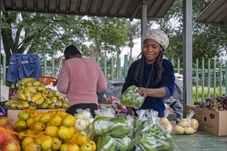 Black woman selling fruit and vegetables at food market in the town Piet Retief