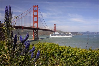 Cruise ship sailing under the Golden Gate Bridge at San Francisco