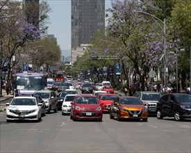 Traffic on Avenue Juarez
