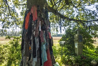 Old clothes hanging from the Chene a clous