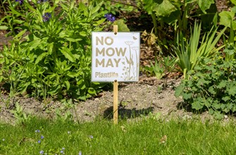 No Mow May sign village green