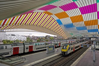 Liege-Guillemins station