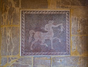Historical mosaic