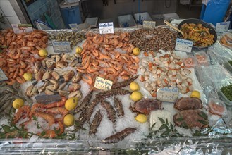 Various crabs and shrimps on ice in a fish shop