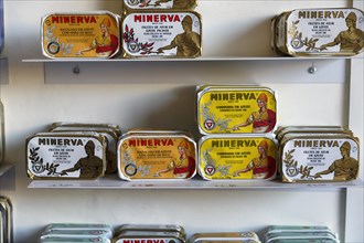 Various canned fish