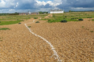 Line of white shells crossing beach towards Coastguard Cottages
