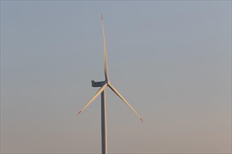 Wind turbine of the Hamburg Wasser company in the evening light in the Port of Hamburg