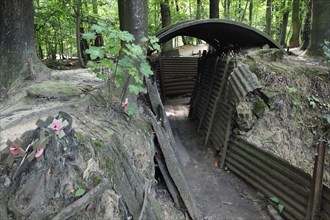 Trenches from World War One at the Sanctuary Wood Museum Hill 62 at Zillebeke