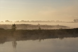 Morning atmosphere in the Elbe floodplain near Darchau in the Elbe River Landscape UNESCO Biosphere Reserve. Amt Neuhaus