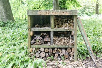 Bug Hotel habitat for insects in woodland